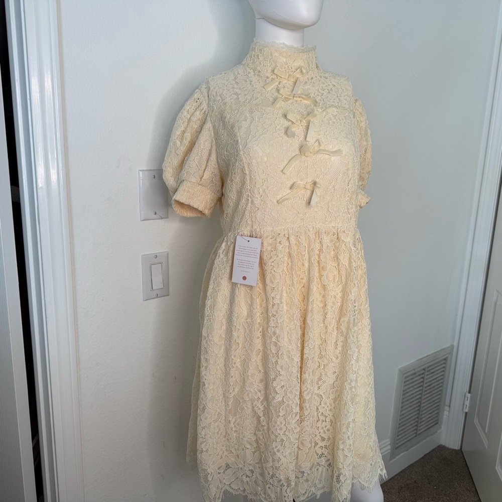 NWT Ivy City Co Collared Elegant Cream Lace Women’s Dress